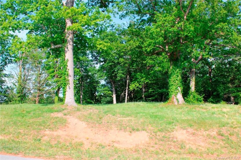 Property image 4 at 00 Ridgeview Hill Court, Hendersonville, NC 28791