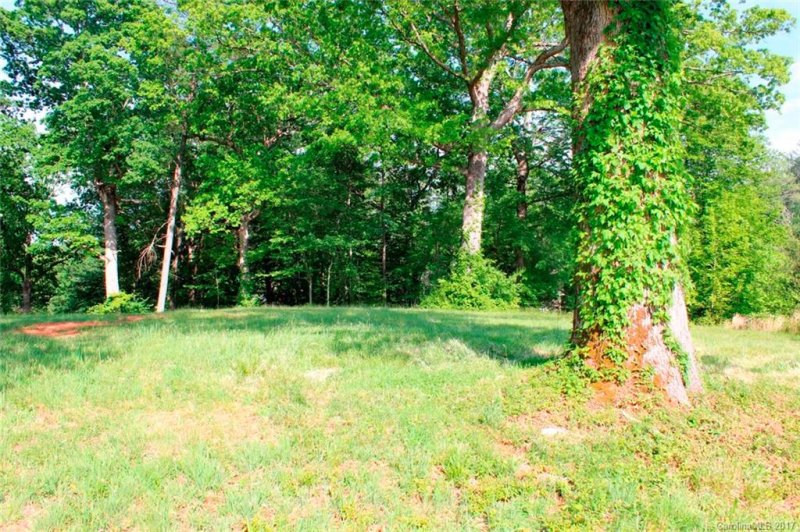 Property image 5 at 00 Ridgeview Hill Court, Hendersonville, NC 28791