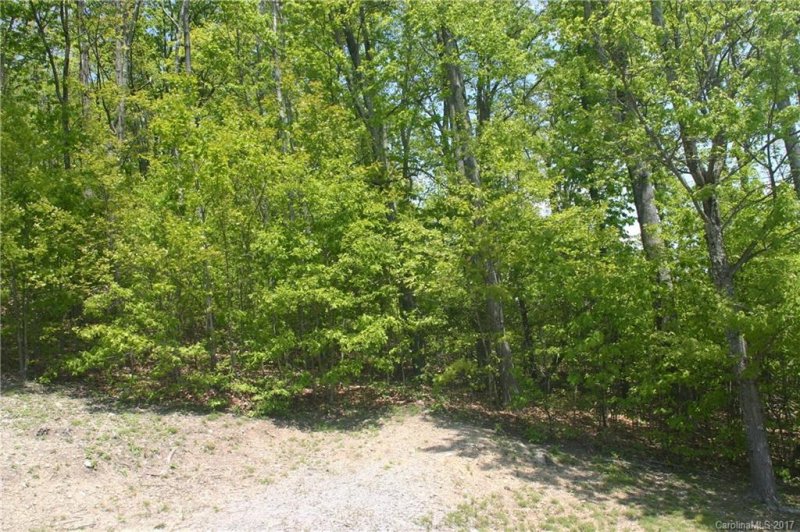 Property image 2 at Lot 31 Hunting Trail, Hendersonville, NC 28792