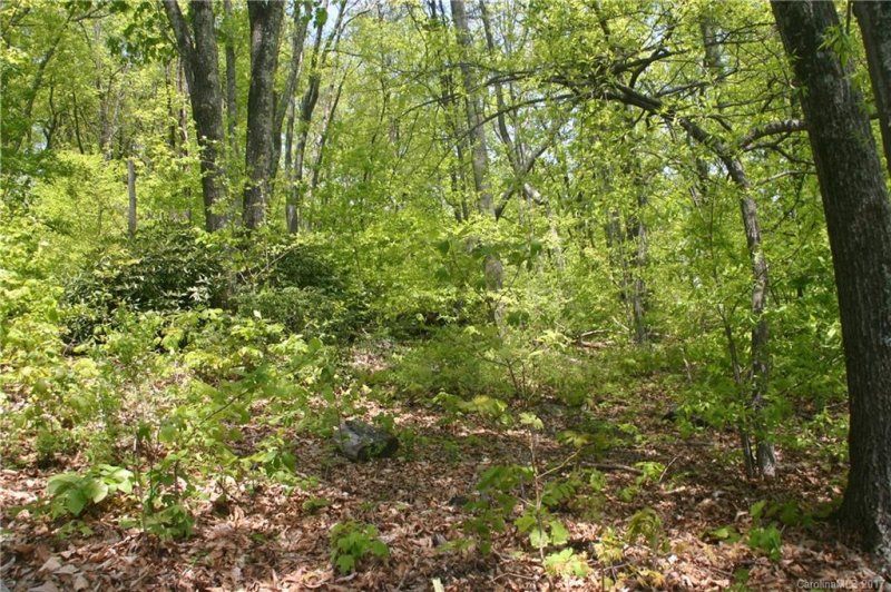 Property image 5 at Lot 31 Hunting Trail, Hendersonville, NC 28792