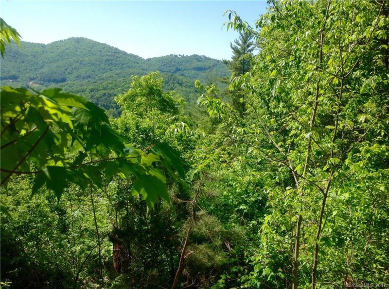 Property image 2 at 9999 Black Oak Drive, Asheville, NC 28804