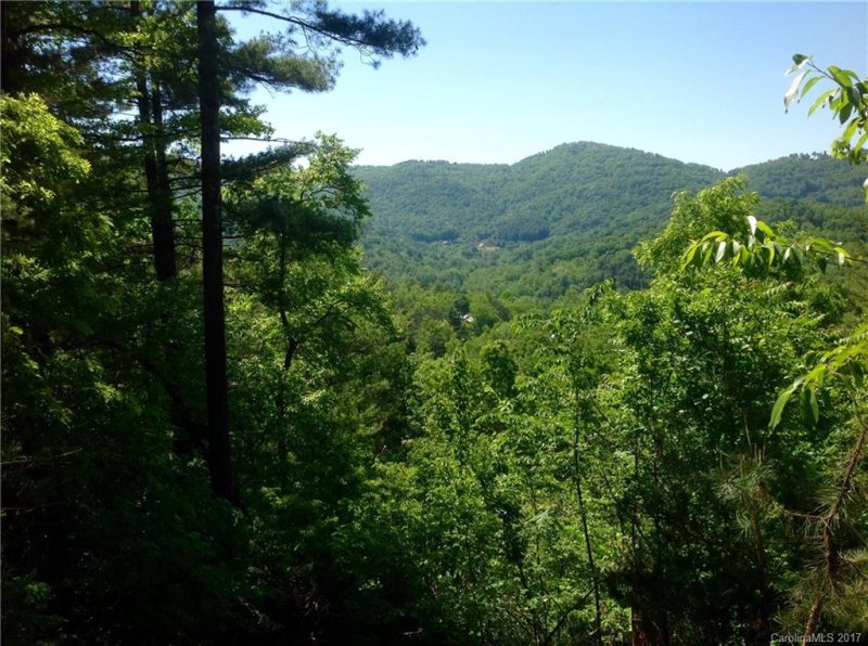 Property image 3 at 9999 Black Oak Drive, Asheville, NC 28804