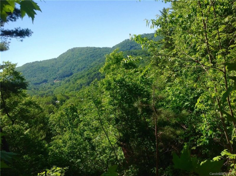 Property image 4 at 9999 Black Oak Drive, Asheville, NC 28804