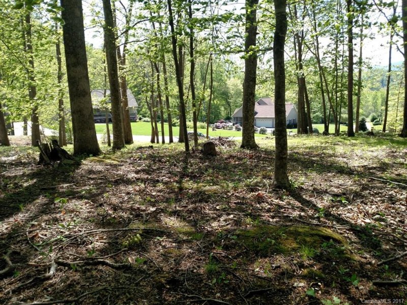 Property image 4 at Lot 15 Stepping Stone Lane, Waynesville, NC 28786