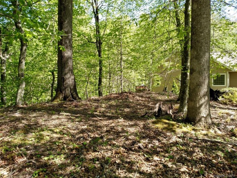 Property image 5 at Lot 15 Stepping Stone Lane, Waynesville, NC 28786