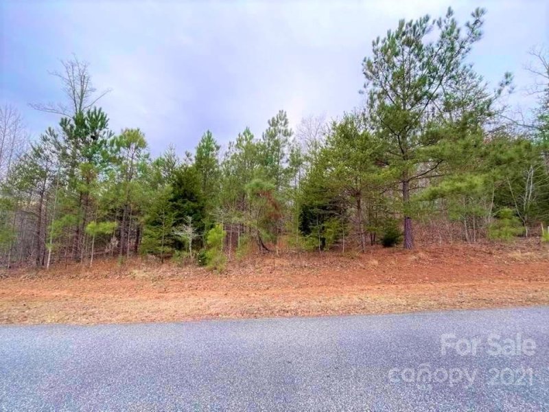 Property image 4 at 0 Cross Ridge Drive, Rutherfordton, NC 28139
