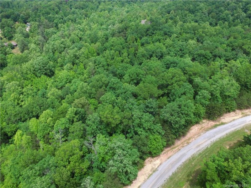 Property image 2 at 00 Pardo Road, Landrum, SC 28356