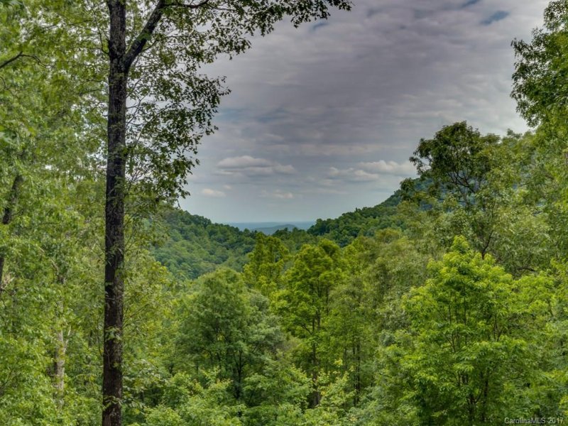 Property image 2 at 147 Bobcat Trail, Saluda, NC 28773