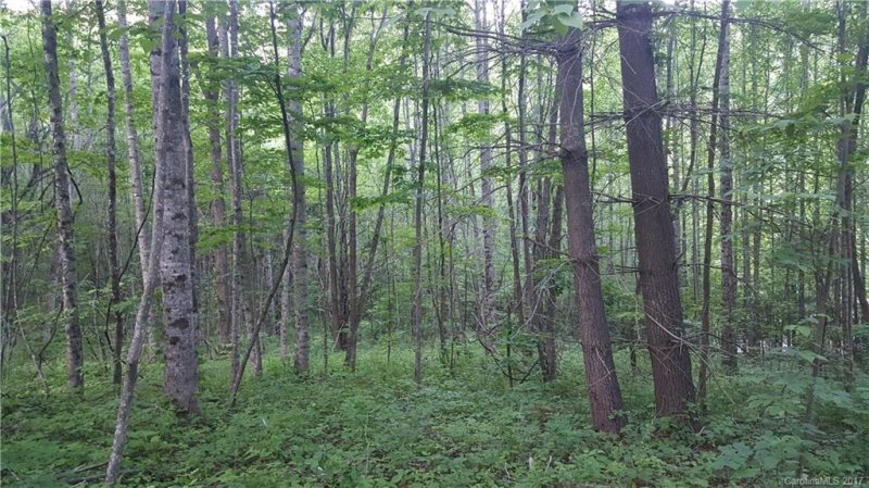 Lot 19 Little Creek Lane