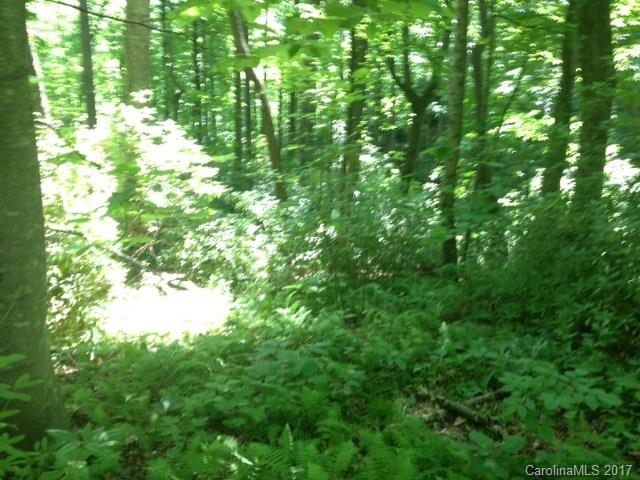 Property image 3 at 0000 Idylwild Lane, Black Mountain, NC 28711