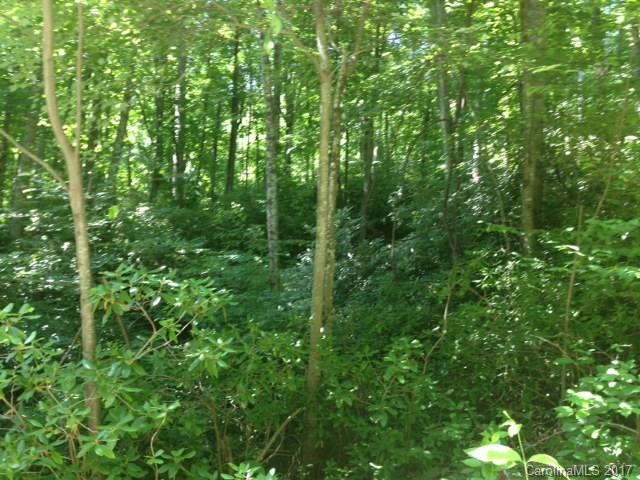 Property image 4 at 0000 Idylwild Lane, Black Mountain, NC 28711