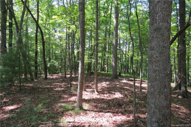Property image 3 at Lot 1 Sassafras Road, Cedar Mountain, NC 28718