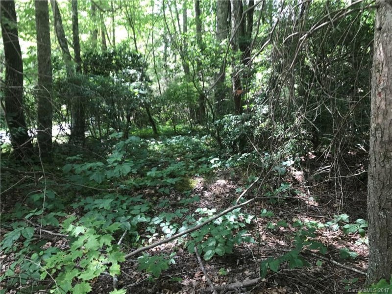 Property image 5 at 000 W Woodland Trail, Hendersonville, NC 28792