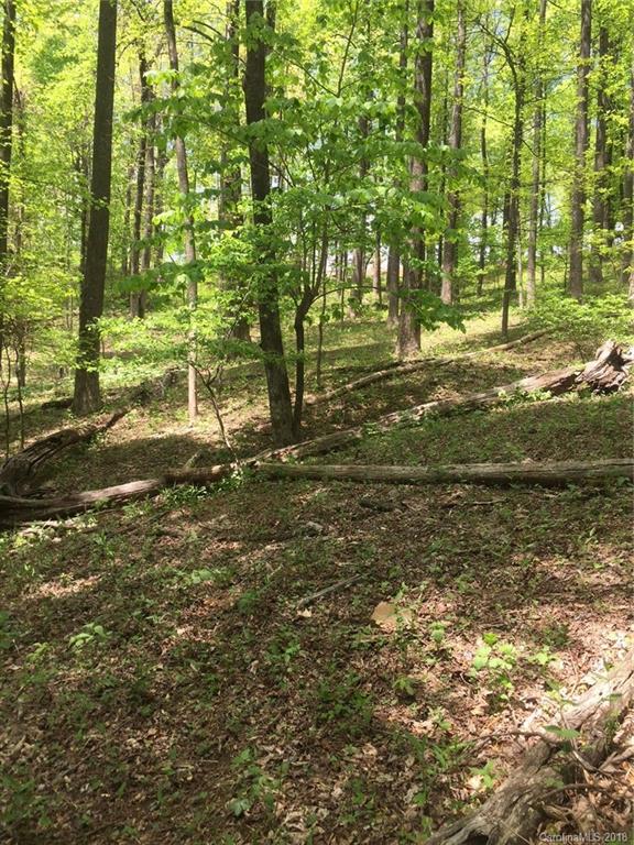 Property image 2 at 3860 Skyuka Mountain Road, Columbus, NC 28722