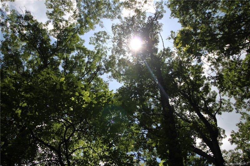 Property image 4 at 194 Victorian Place, Sylva, NC 28779