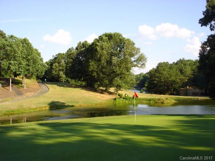 Property image 4 at 11084 Deep Cove Drive, Tega Cay, SC 29708