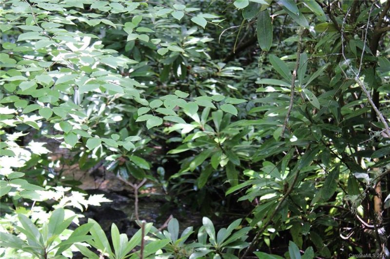 Property image 3 at Tbd S Cherrywood Lane, Pisgah Forest, NC 28768