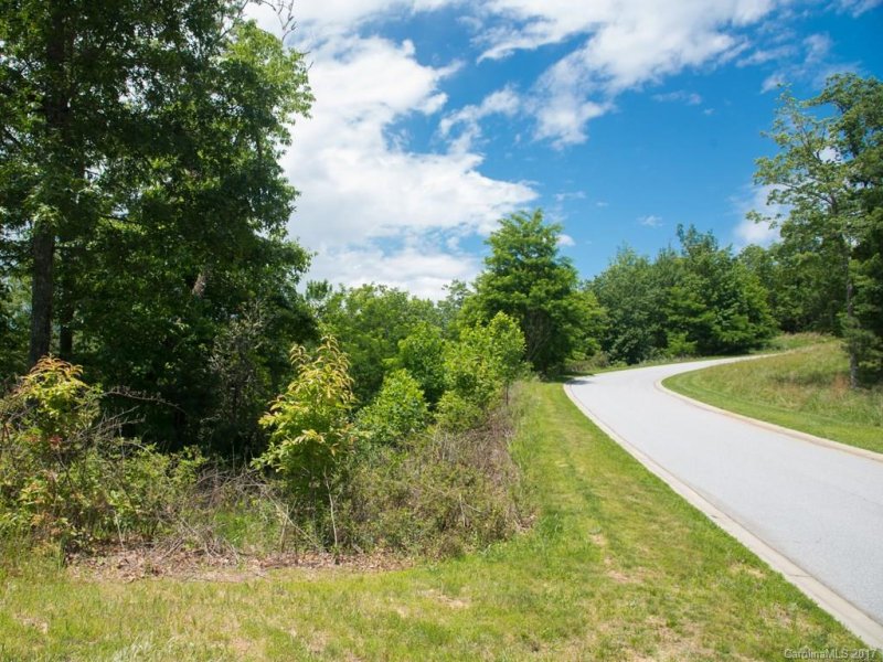 Property image 2 at 48 Stonefly Drive, Mills River, NC 28759