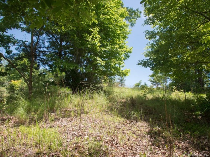 Property image 4 at 48 Stonefly Drive, Mills River, NC 28759