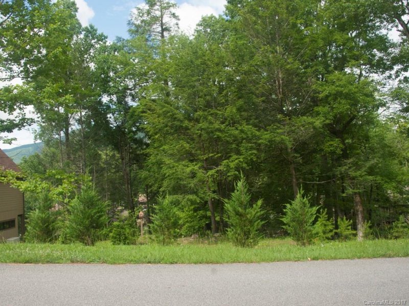 Property image 2 at 154 Chapel Point Road, Lake Lure, NC 28746