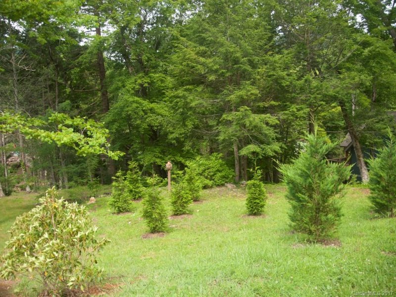 Property image 3 at 154 Chapel Point Road, Lake Lure, NC 28746