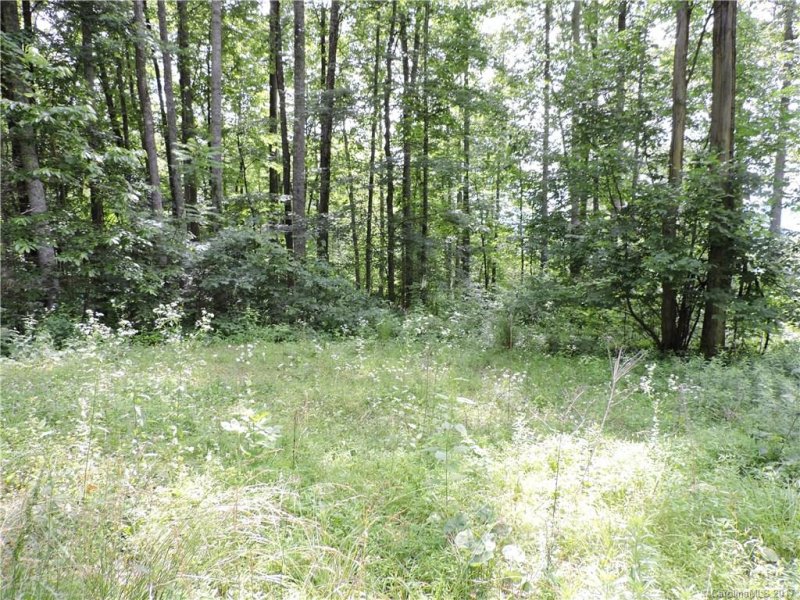 Property image 2 at Lot 22 Red Wolf Run None, Mars Hill, NC 28754