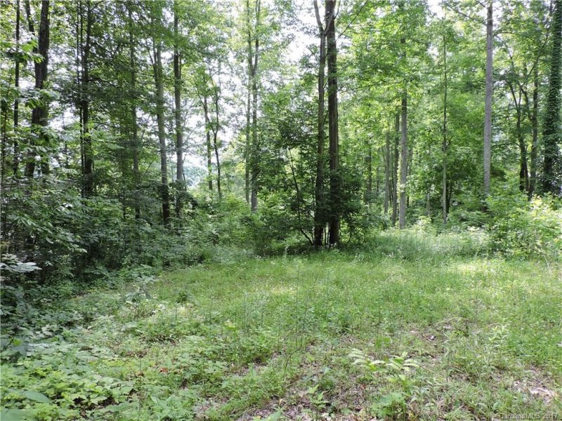Property image 3 at Lot 22 Red Wolf Run None, Mars Hill, NC 28754