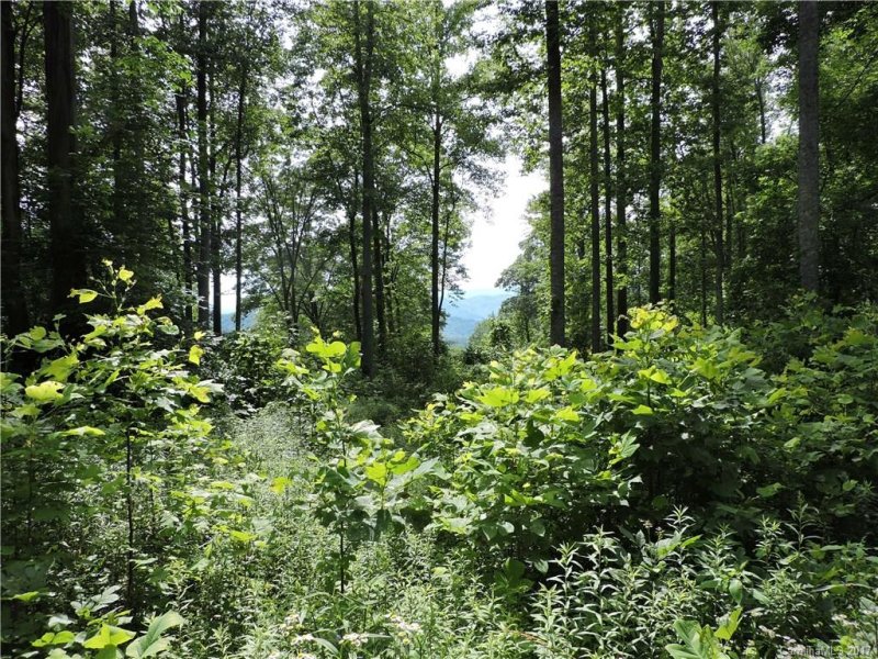 Property image 4 at Lot 22 Red Wolf Run None, Mars Hill, NC 28754