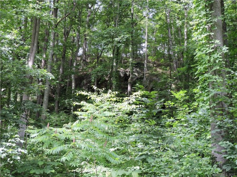 Property image 5 at Lot 22 Red Wolf Run None, Mars Hill, NC 28754