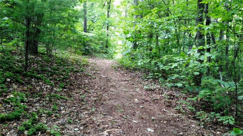 Property image 3 at Lot 79 Haven Drive, Saluda, NC 28773