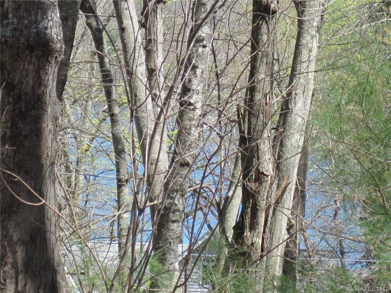 Property image 4 at Lot 79 Haven Drive, Saluda, NC 28773