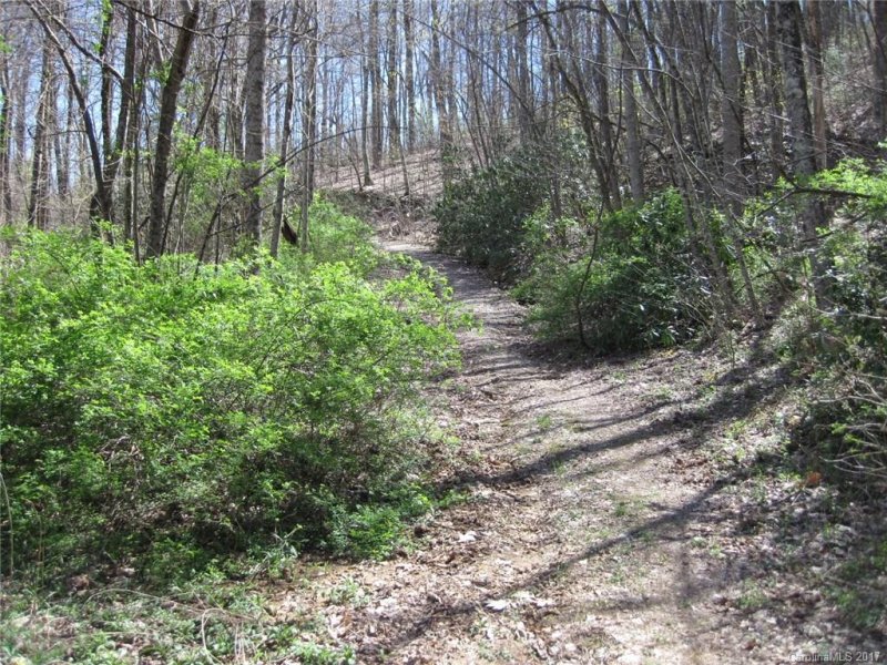 Property image 5 at Lot 79 Haven Drive, Saluda, NC 28773