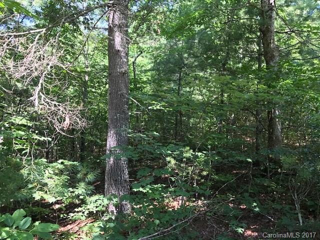 Property image 4 at 106 Emerald Cove Court, Hendersonville, NC 28792