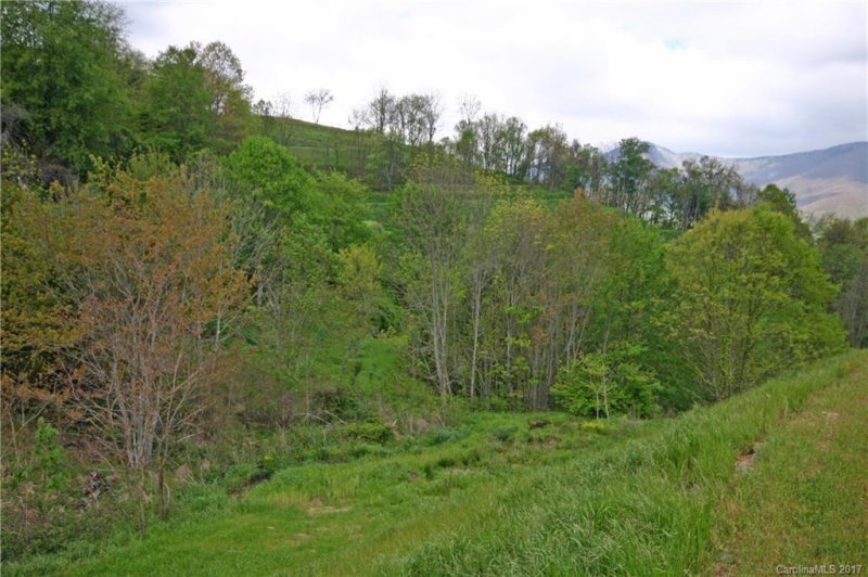 Property image 5 at Lot 1 2 Gordon Drive, Waynesville, NC 28786