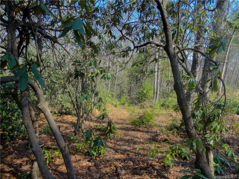 Property image 3 at 000 Pack Drive, Spruce Pine, NC 28777