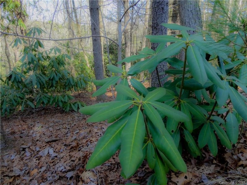 Property image 4 at 000 Pack Drive, Spruce Pine, NC 28777