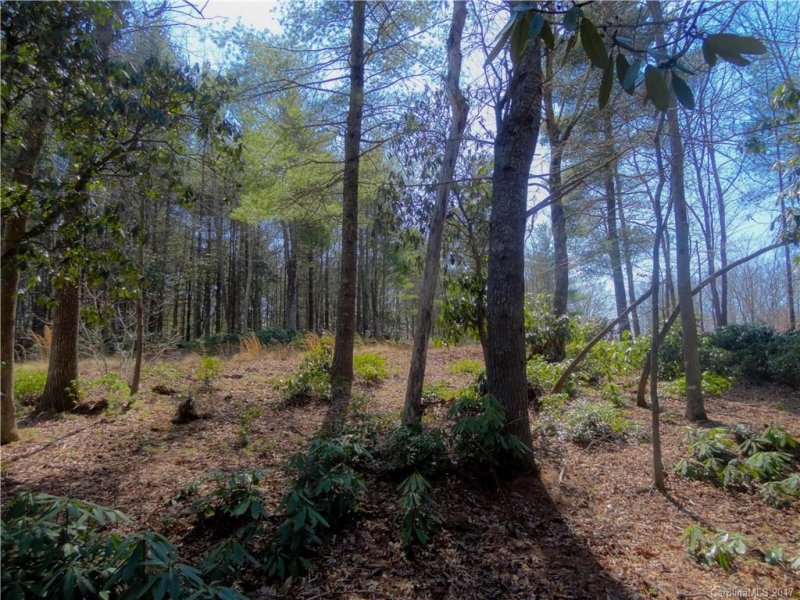 Property image 5 at 000 Pack Drive, Spruce Pine, NC 28777