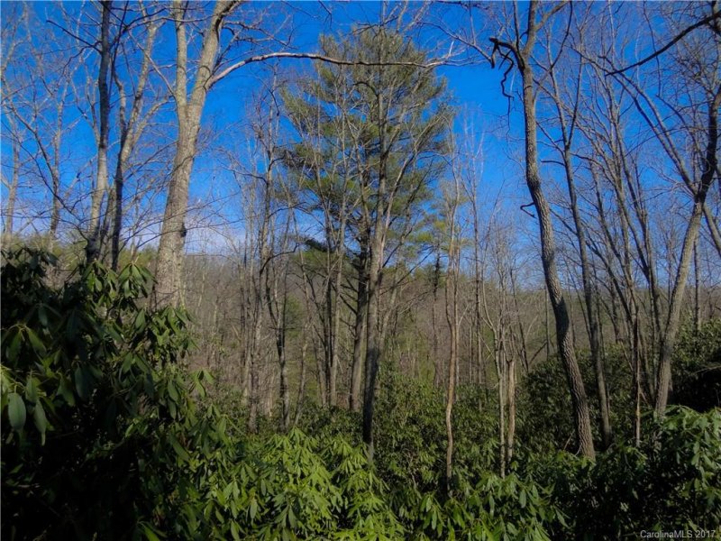 Property image 5 at Tbd Den Drive, Spruce Pine, NC 28777