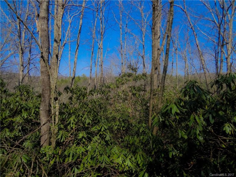 Property image 3 at Tbd Pack Drive, Spruce Pine, NC 28777