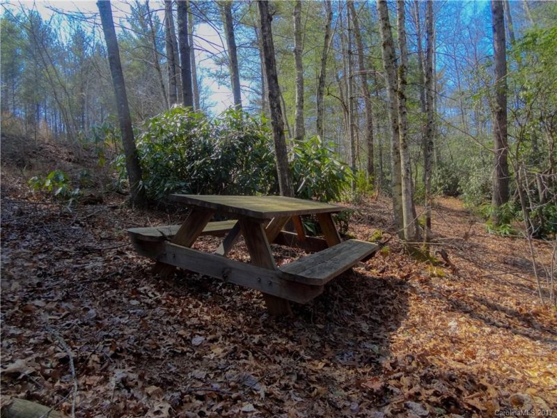 Property image 5 at Tbd Pack Drive, Spruce Pine, NC 28777