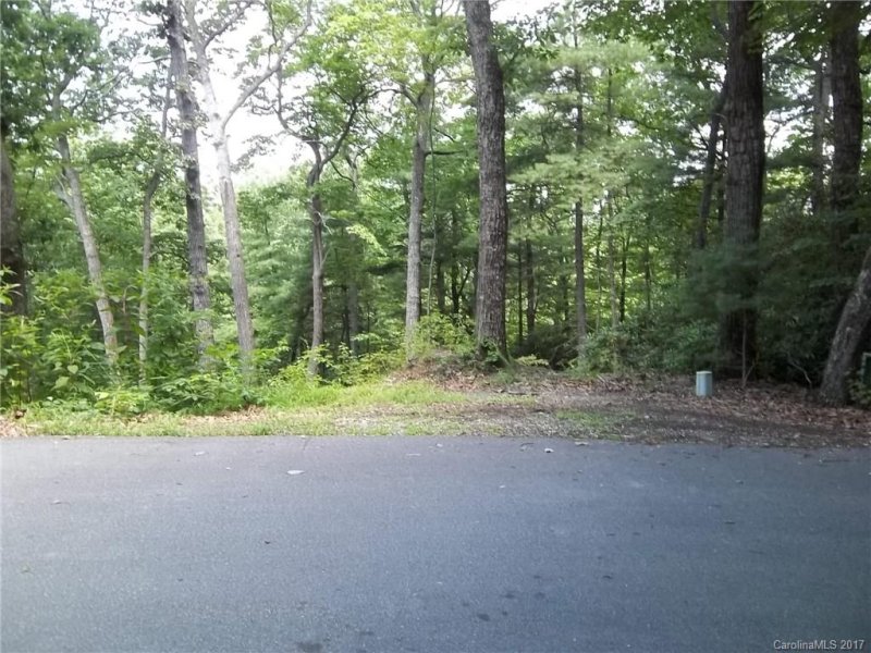 Property image 2 at 124 Dogwood Trail, Hendersonville, NC 28791