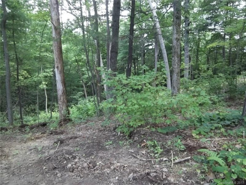 Property image 5 at 124 Dogwood Trail, Hendersonville, NC 28791