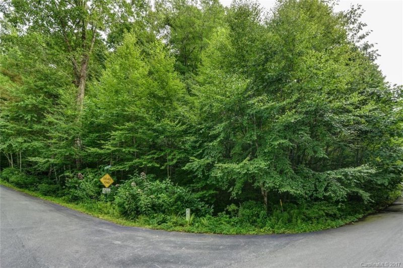 Property image 3 at 18 Fairview Pointe Drive, Fairview, NC 28730