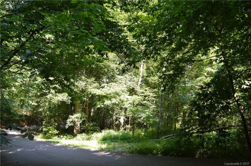 Property image 3 at Lot 409 Multiflora Way, Waynesville, NC 28785