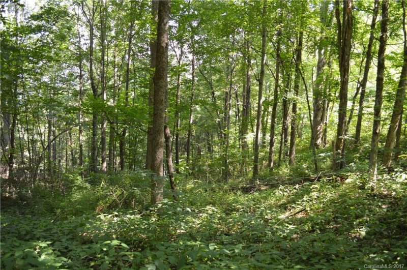 Property image 4 at Lot 409 Multiflora Way, Waynesville, NC 28785