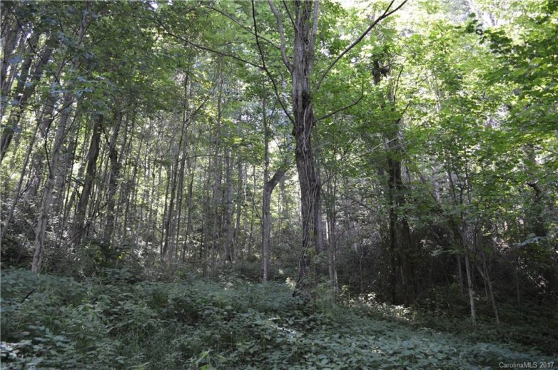 Property image 5 at Lot 409 Multiflora Way, Waynesville, NC 28785