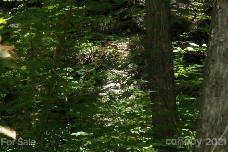 Property image 3 at Lot 25 Countryside Drive, Waynesville, NC 28785