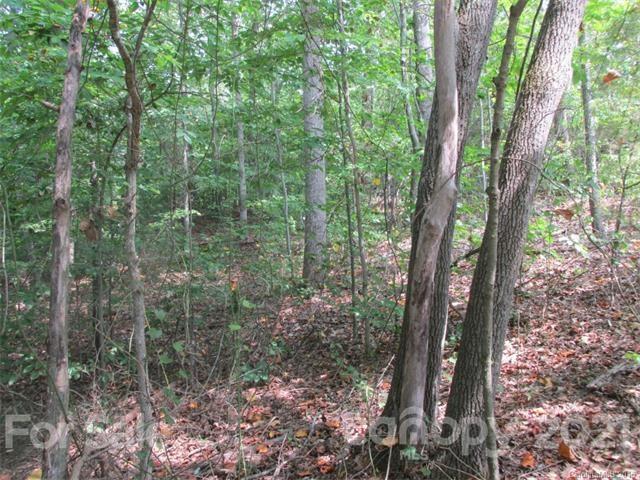 Property image 4 at 1007 Palomino Lane, Catawba, NC 28609