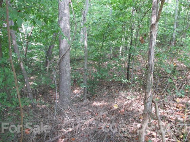 Property image 5 at 1007 Palomino Lane, Catawba, NC 28609