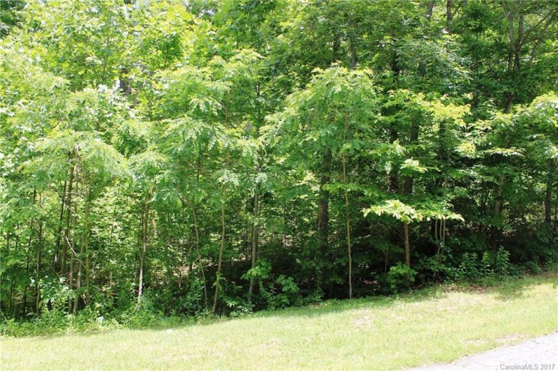 Lot 8 Rambling Trail